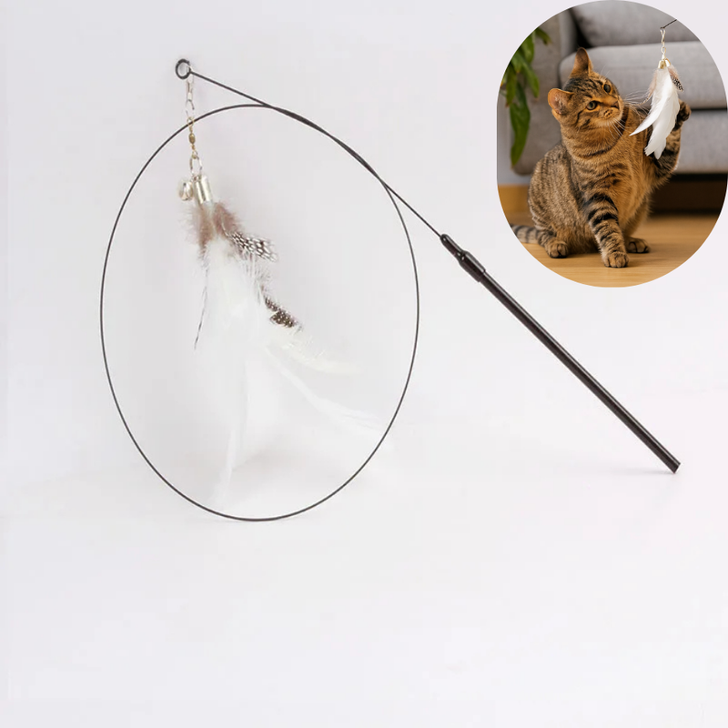 Feather With Bell Wand Cat Toy